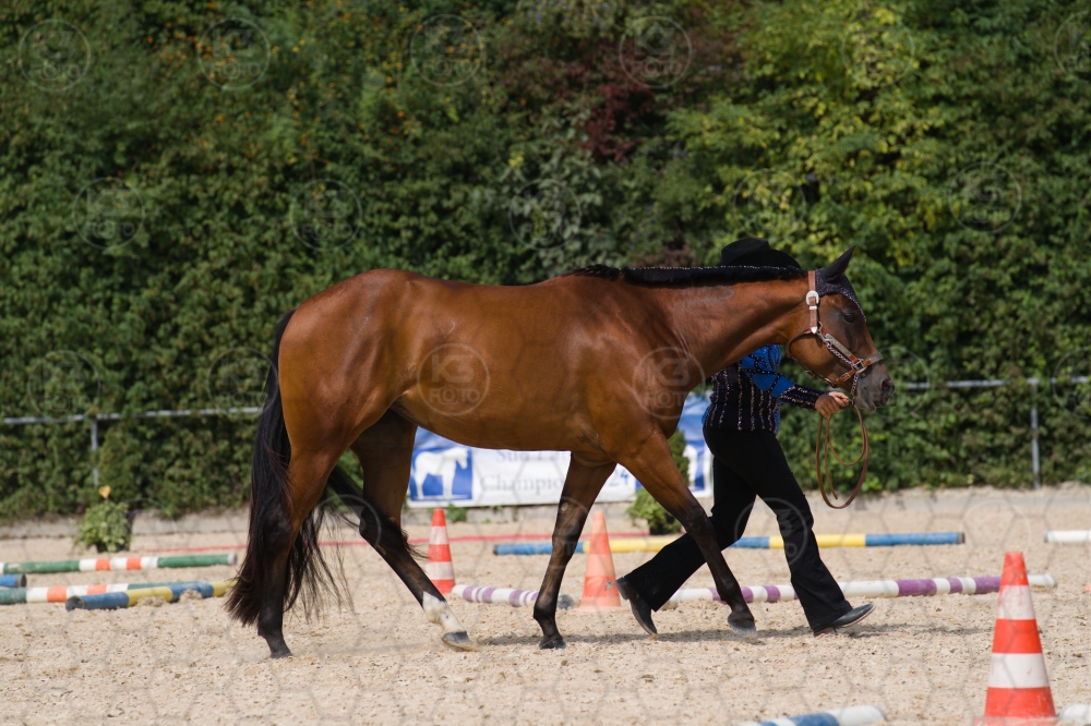 s_batch_A9_00087.jpg